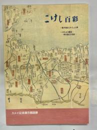 こけし百彩 : カメイ記念展示館図録