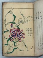 朝顔培養全書