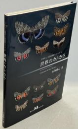 世界のカトカラ