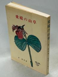 愛媛の山草