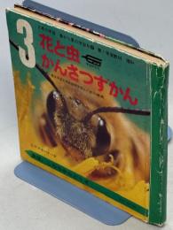 花と虫かんさつずかん