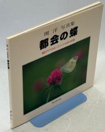都会の蝶 : 都区内で出会った小さな命の記録 : 関洋写真集