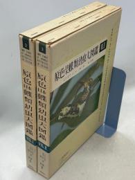 原色日本蝶類幼虫大図鑑