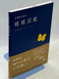 京都洛北岩倉蝶蝶図鑑 : 佐藤英次コレクション