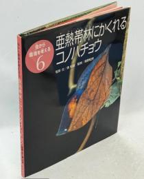 亜熱帯林にかくれるコノハチョウ