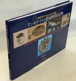－銅版画で辿る化石図鑑－アンモナイトと恐竜時代の生物