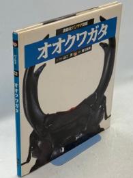 オオクワガタ