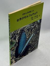 世界のモルフォチョウ
