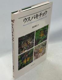 ウスバキチョウ