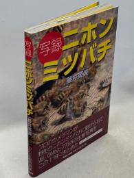 写録ニホンミツバチ