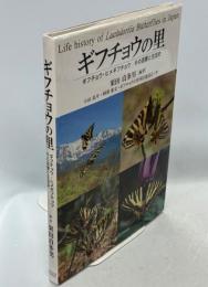 ギフチョウの里　ギフチョウ・ヒメギフチョウその混棲と生活史