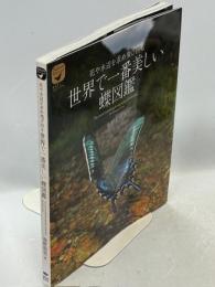 世界で一番美しい蝶図鑑 : 花や水辺を求め飛び回る