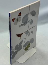 照葉樹林の生きものたち