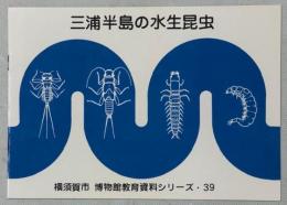 三浦半島の水生昆虫