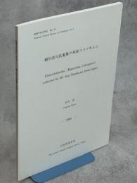 細川浩司氏蒐集の邦産コメツキムシ