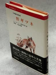 野ギツネ