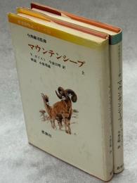 マウンテンシープ