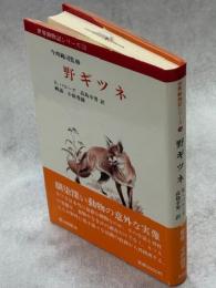野ギツネ