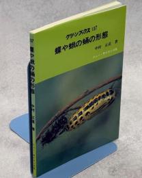 蝶や蛾の蛹の形態