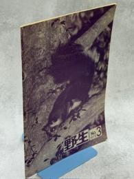 野生