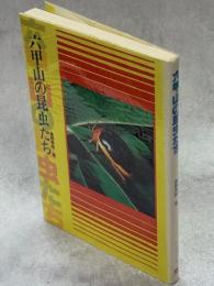 六甲山の昆虫たち