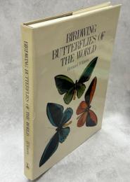 Birdwing Butterflies of the World