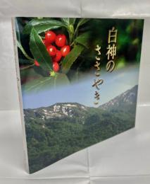 白神のささやき : 白神山地の植物を訪ねて