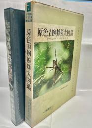 原色日本蜘蛛類大図鑑