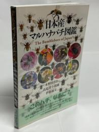 日本産マルハナバチ図鑑