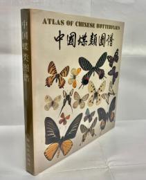 中國蝶類圖譜