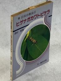 日本の昆虫⑨ヒゲナガカワトビケラ
