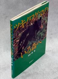 ツキノワグマのいる森へ