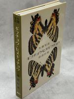 ギフチョウ・ヒメギフチョウ : 生態写真
