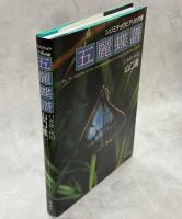 五麗蝶譜 : シジミチョウとアリの共棲
