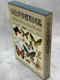 原色世界蝶類図鑑