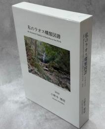 私のラオス蝶類図譜