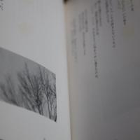 君の胸、僕の胸。