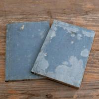 新薬百品考 前編 上下 發兌書林／英蘭堂