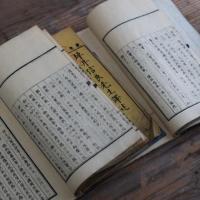 新薬百品考 前編 上下 發兌書林／英蘭堂