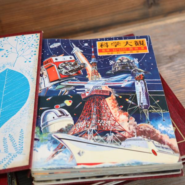 科学大観 全25冊揃（4分冊） / 古本、中古本、古書籍の通販は「日本の