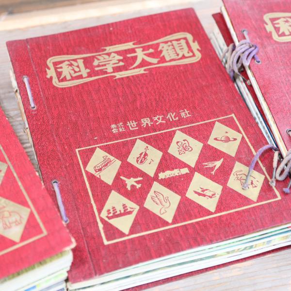 科学大観 全25冊揃（4分冊） / 古本、中古本、古書籍の通販は「日本の