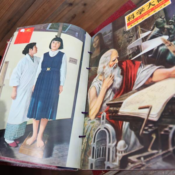 科学大観 全25冊揃（4分冊） / 古本、中古本、古書籍の通販は「日本の