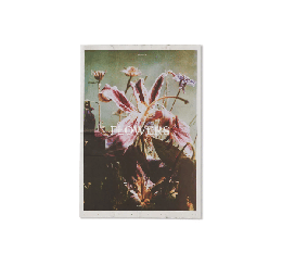 Flowers - Lina Scheynius