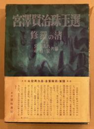 宮沢賢治珠玉選　修羅の渚