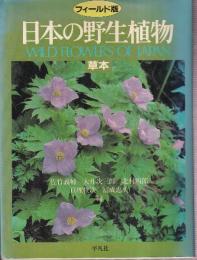 フィールド版　日本の野生植物　草本