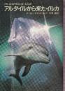 アルタイルから来たイルカ