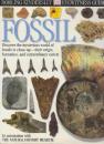 ossil　( Dorling Kindersley Eyewitness Guides) 化石