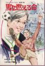 雪に燃える命　純愛小説　ティーンズ・ハンディ・ブックス
