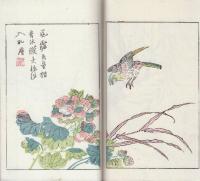 芥子園?毛花果譜 上冊1巻～ ＜藝苑叢書＞(１４図彩色木版入り)