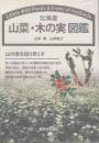 北海道山菜・木の実図鑑